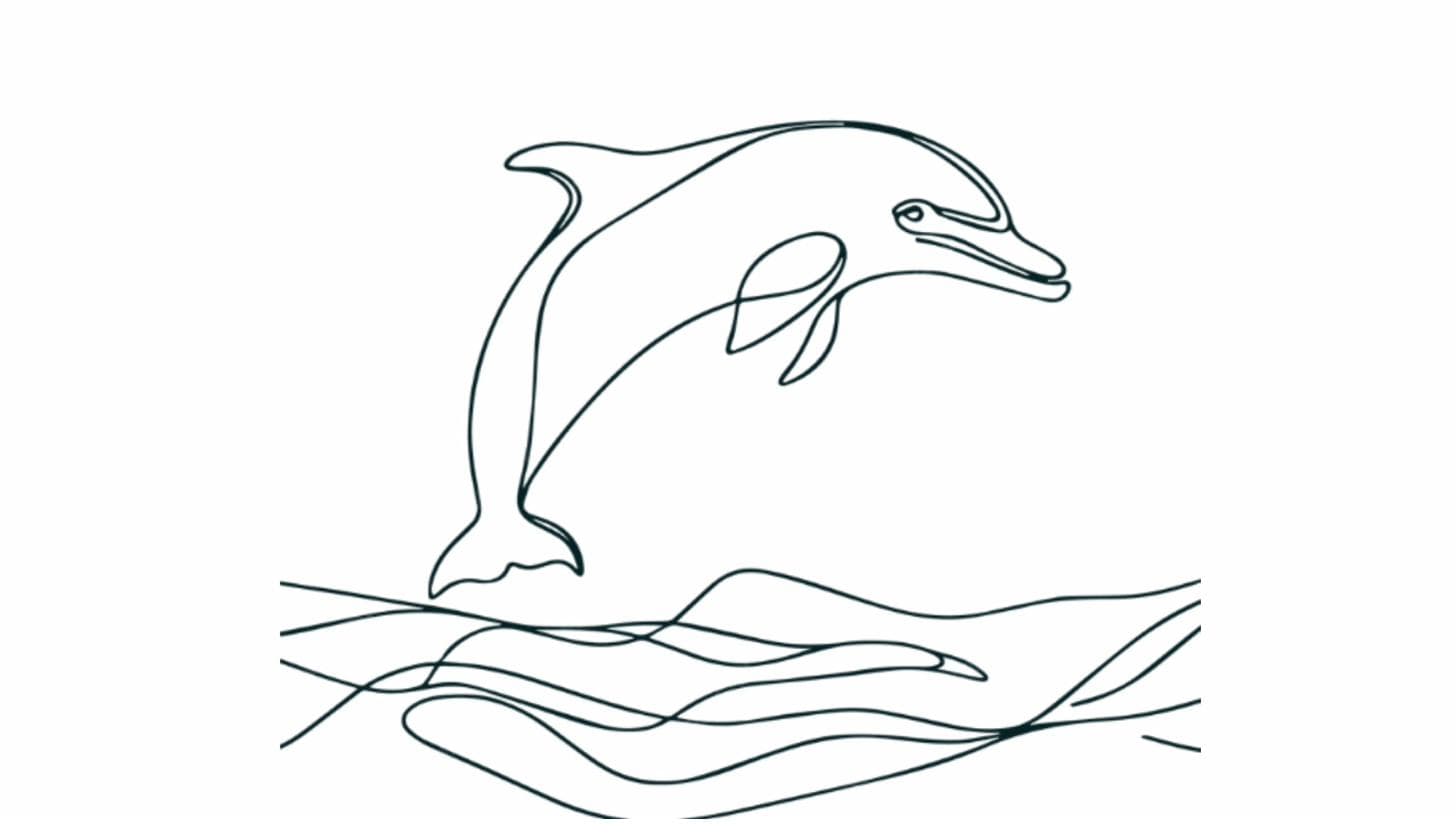 Dolphin — creative spark