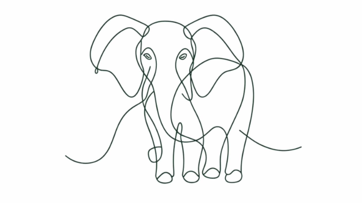 Elephant — relational strength
