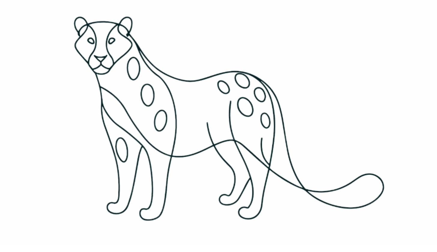 Snow Leopard — analytical precision